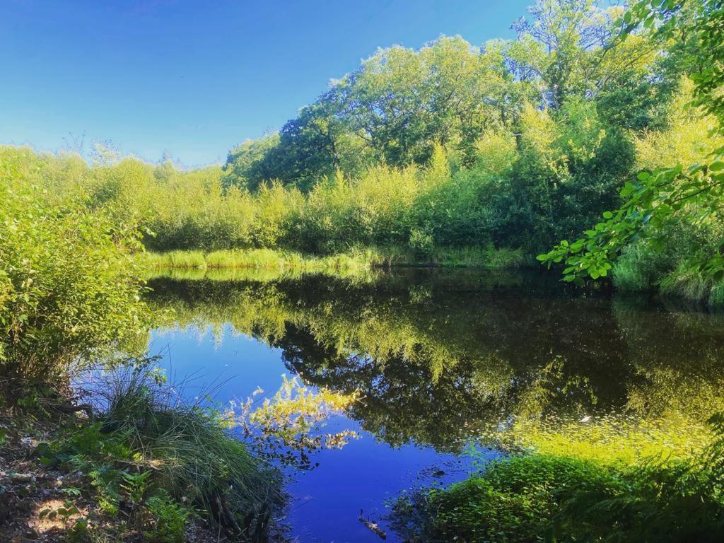 De Groninger Zeeuw By Droomvilla Bellingwolde Esterno foto